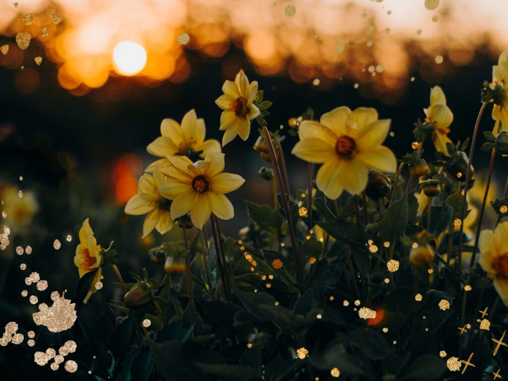 Beyond the Noise, Finding God in the Unspoken Places