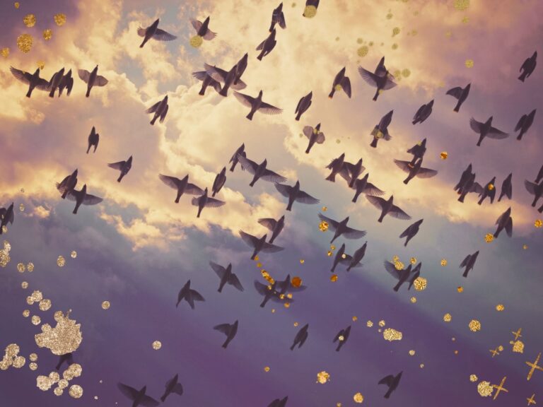 Finding Your Anchor in your transition moments