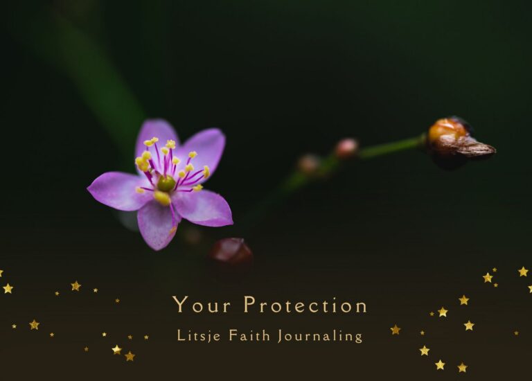 Your Protection